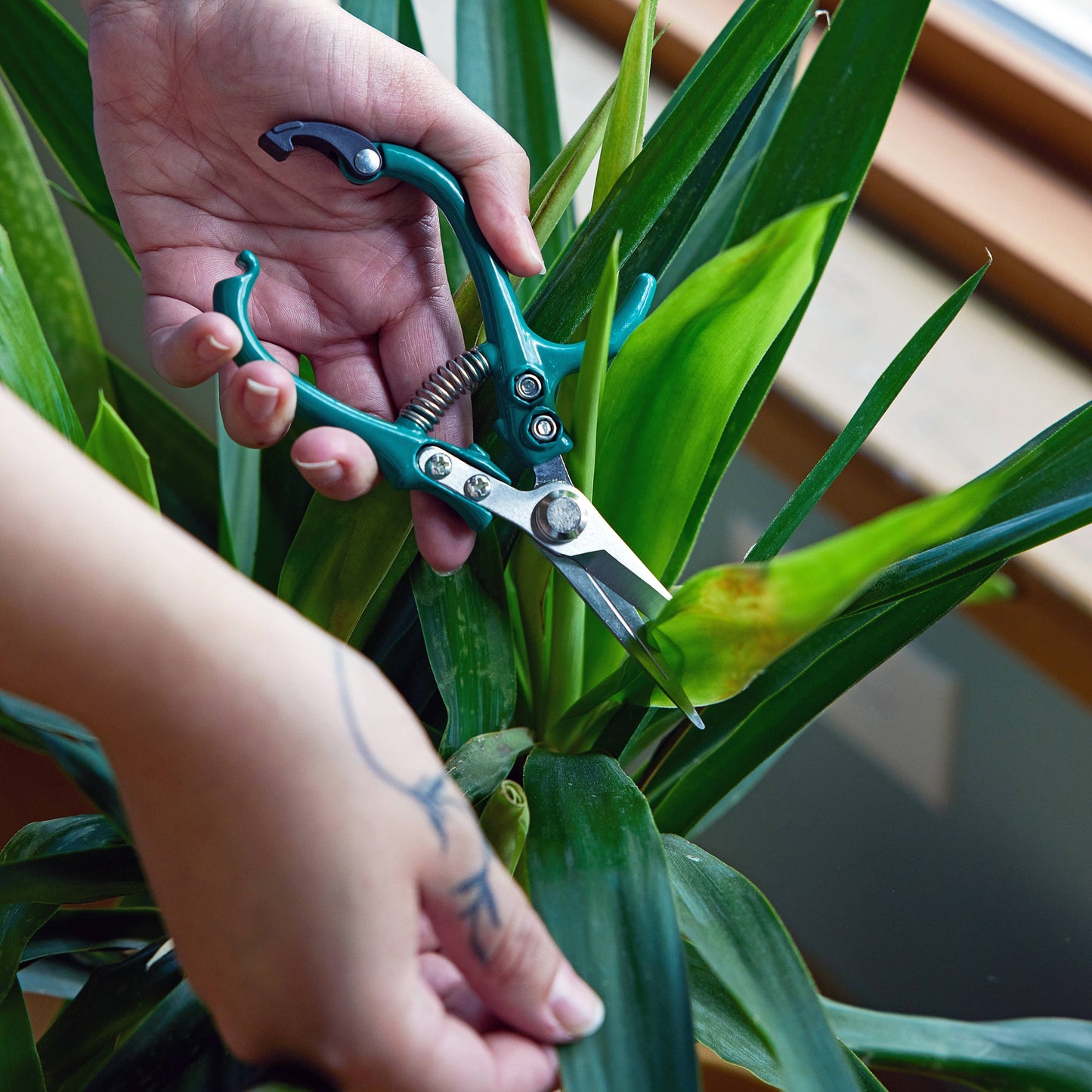 Modern Sprout - New Colors! Garden Shears