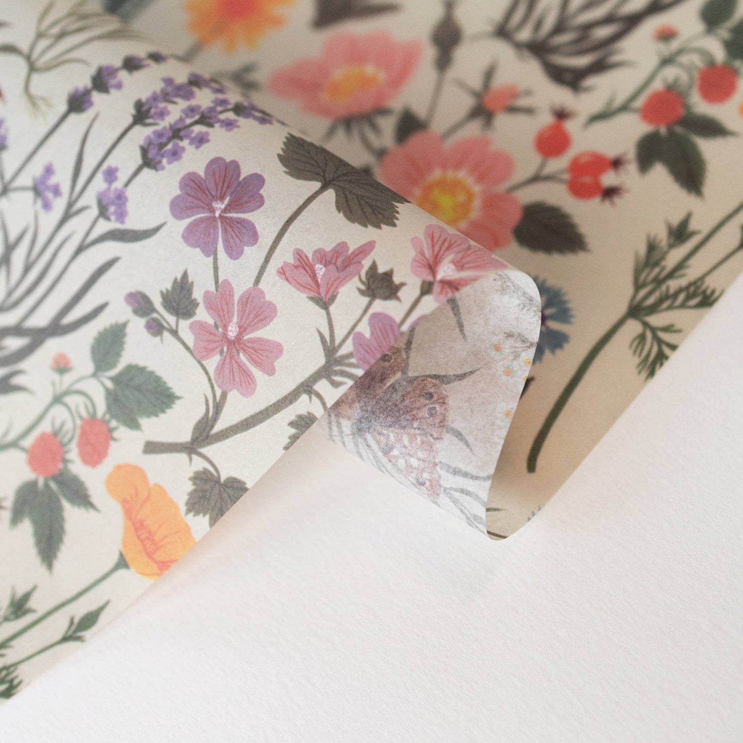 Botanica Paper Co. - BOTANIST | Tissue Paper (10 sheets)