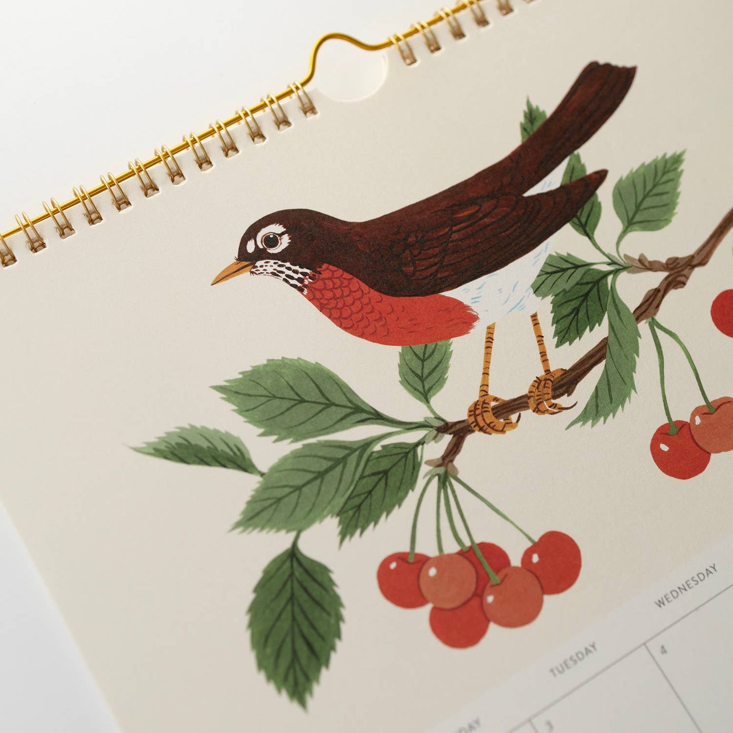 Botanica Paper Co. - 2025 WALL CALENDAR / SONG BIRDS