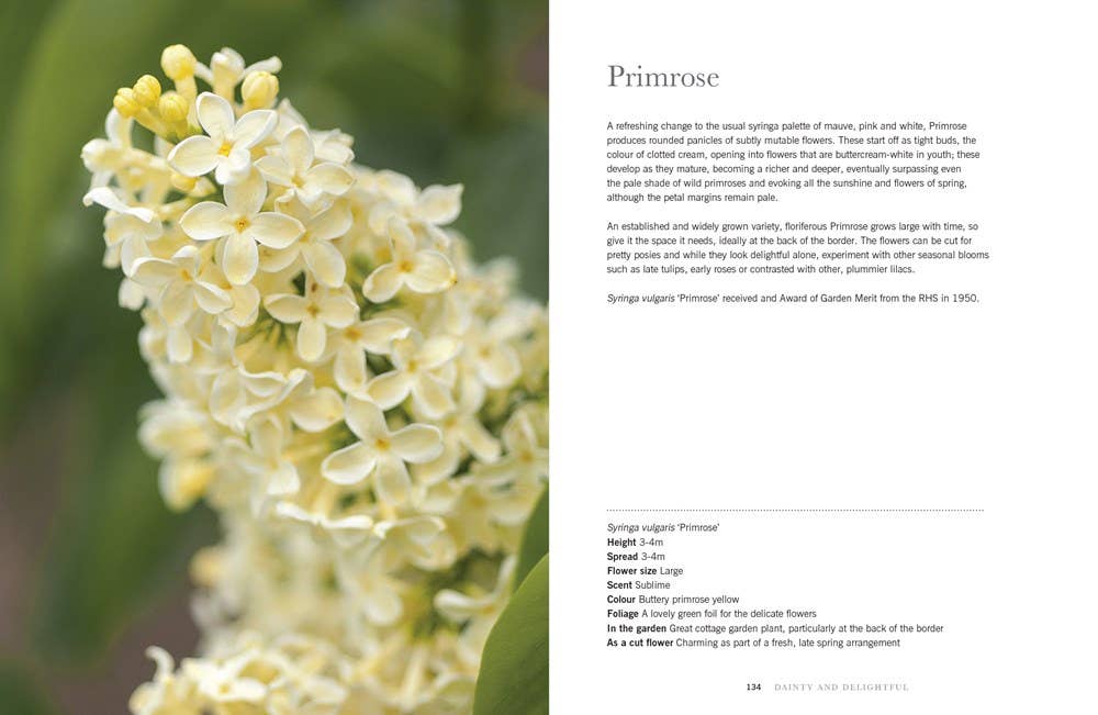 Gibbs Smith - Lilacs: Beautiful Varieties for Home & Garden