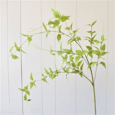 David Christopher's Collection - 46” Clematis Leaf Spray - Lt. Green