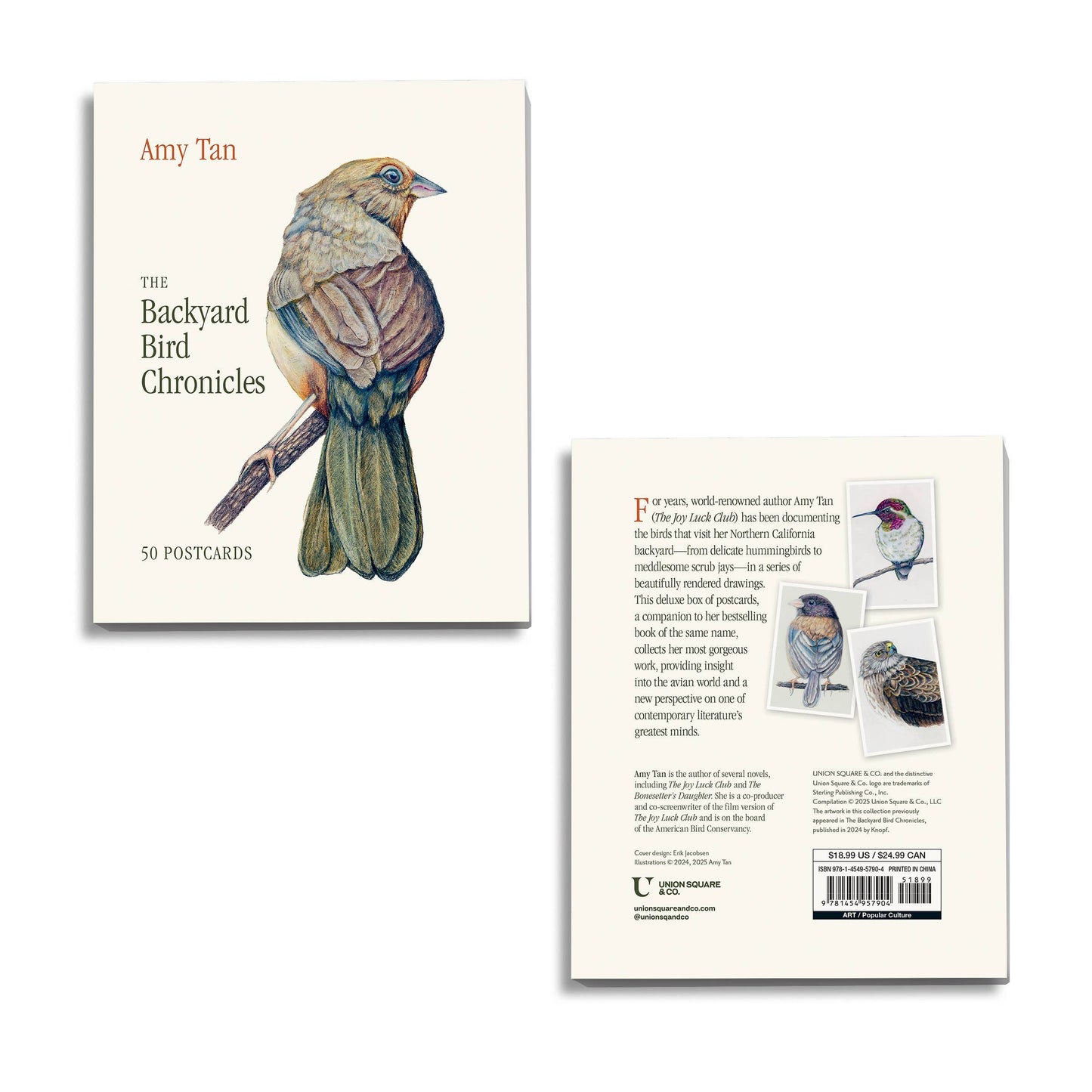 Hachette Book Group - The Backyard Bird Chronicles: 50 Postcards by Amy Tan