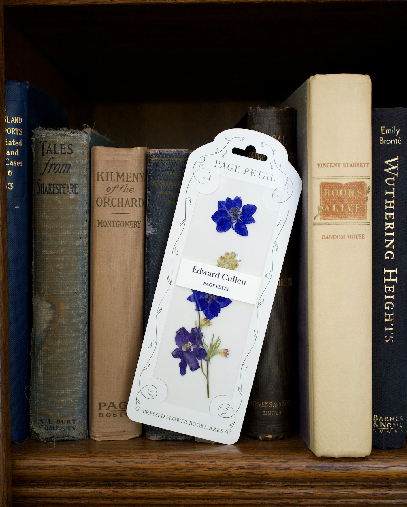 Page Petal - Edward Cullen Bookmark | For the Eternal Romantic