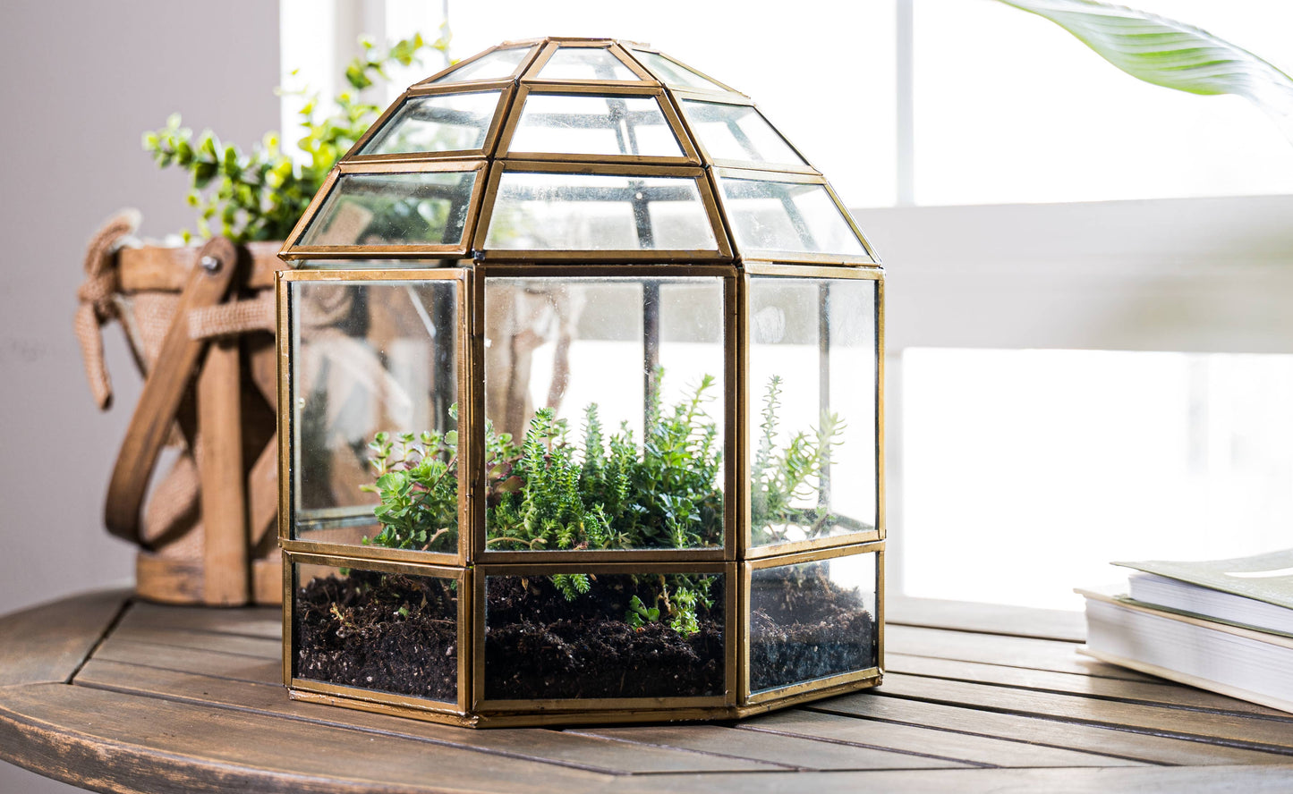 Urban Born - Urban Born Birdcage Terrarium: Glass Indoor Display, Bronze