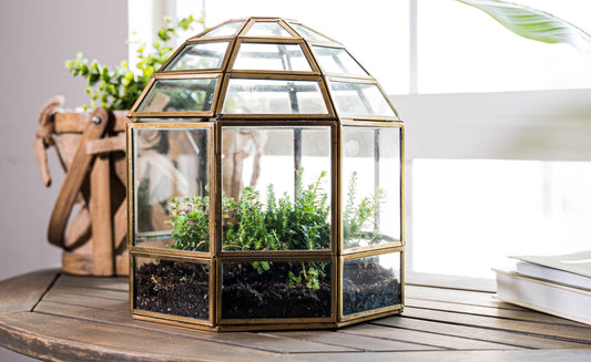 Urban Born - Urban Born Birdcage Terrarium: Glass Indoor Display, Bronze