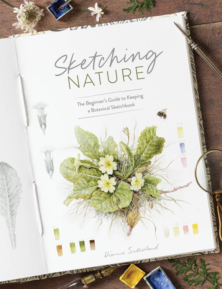 Ingram Publisher Services - Sketching Nature