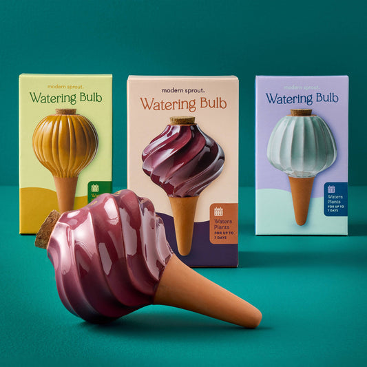Modern Sprout - Terracotta Watering Bulb