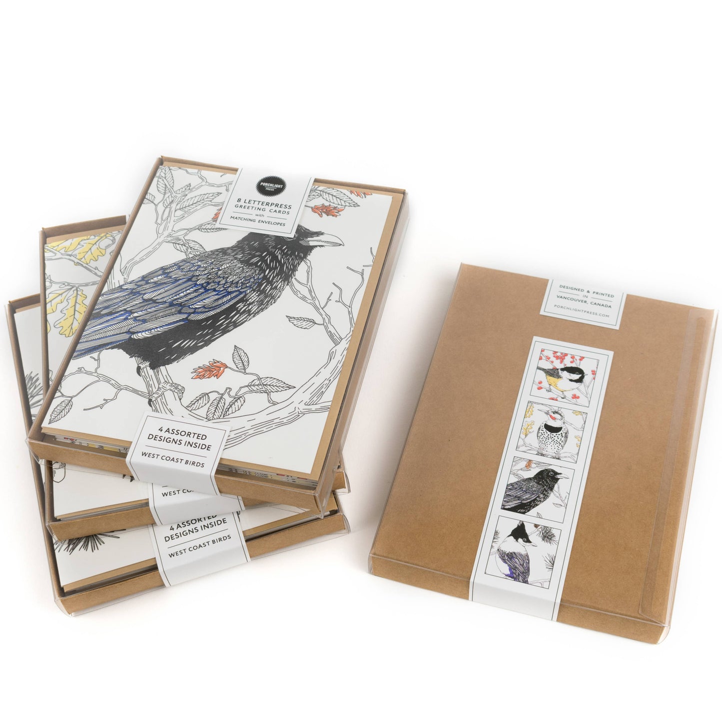 Black-capped Chickadee Card: Box Set of 6 Cards