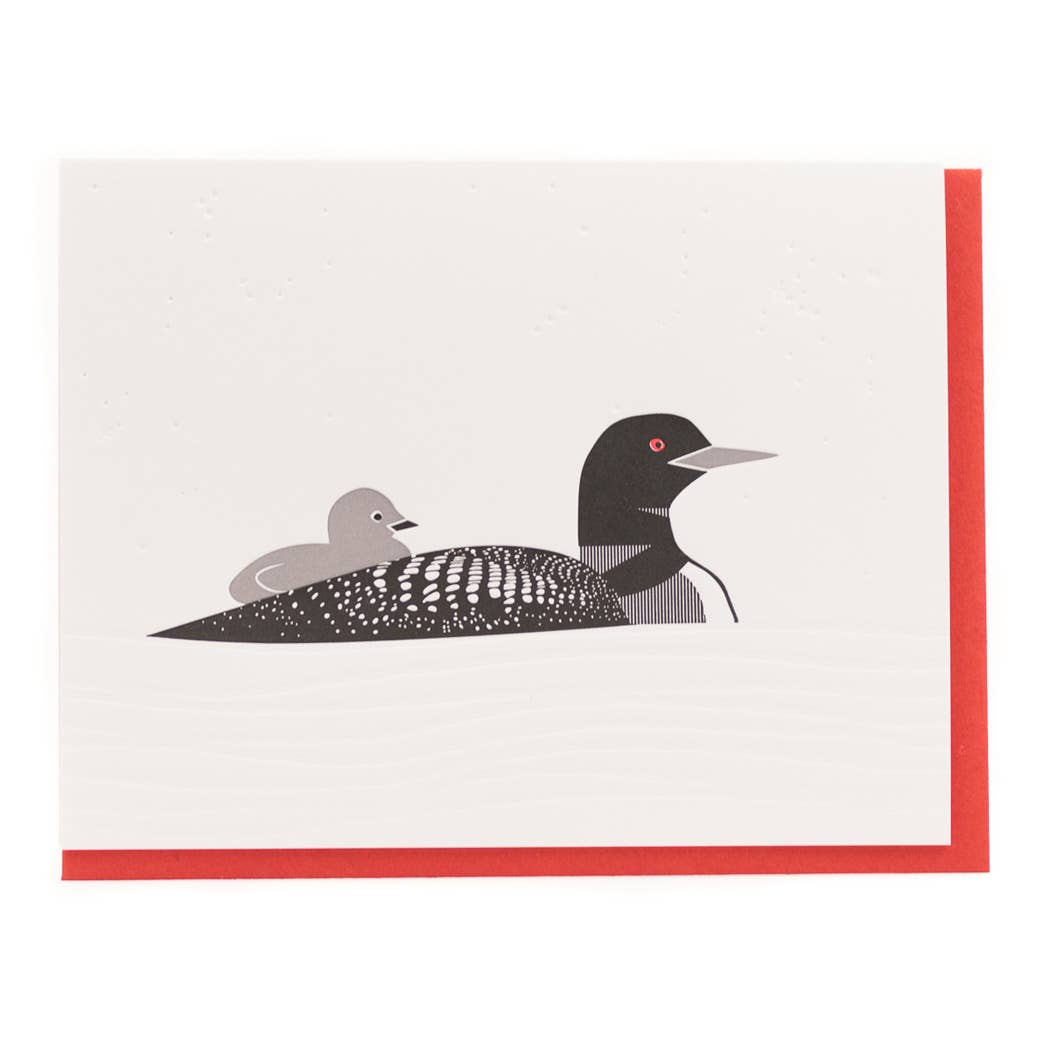 Modern Birds Folder Set - Assorted Set of 6