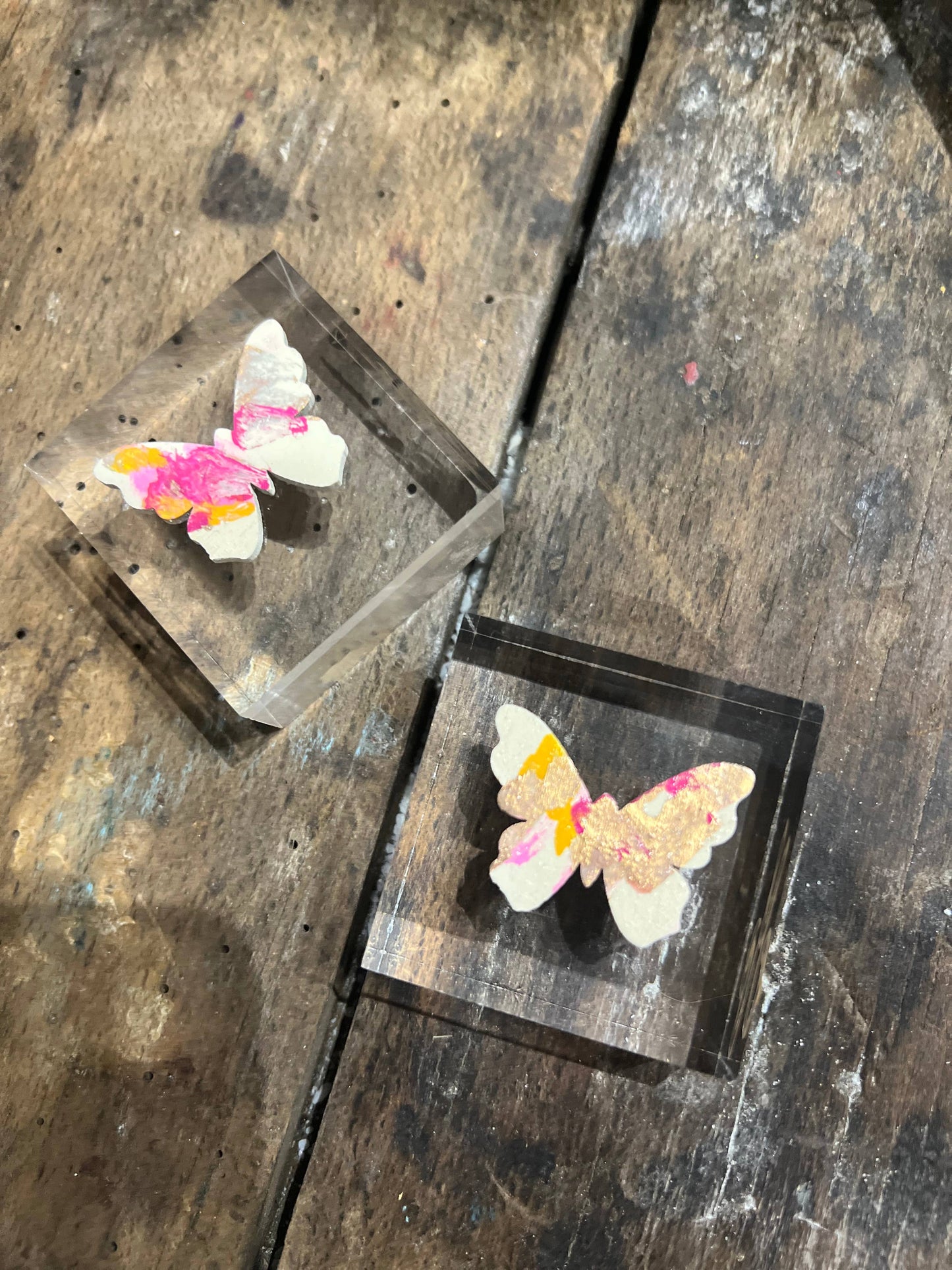 The Painted Petal - Butterfly Lucite Block