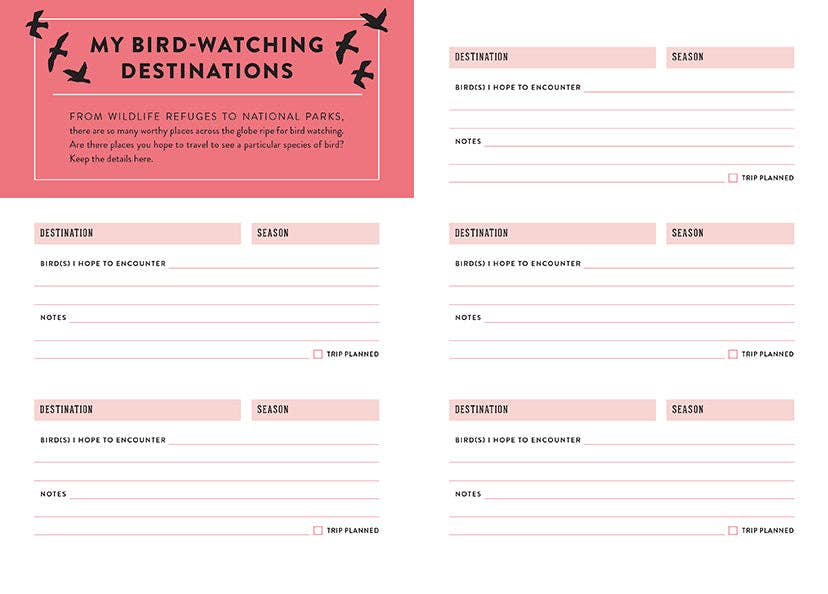 Insight Editions - #1 Pop Culture Publisher - The Bird Watcher's Journal