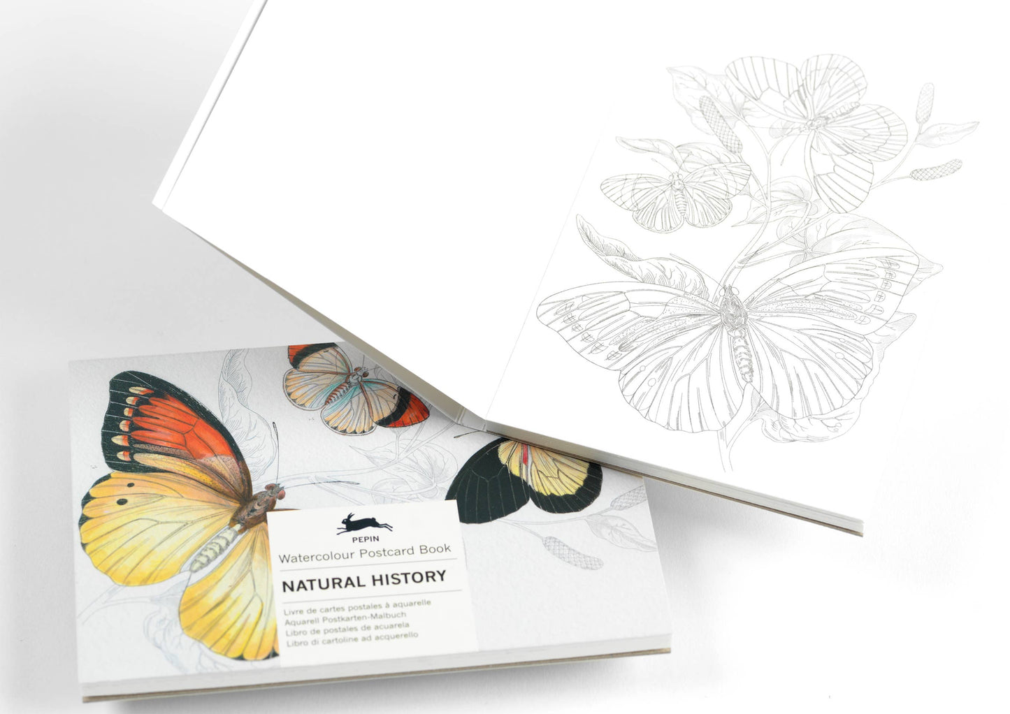 Pepin Press - Natural History Watercolour Postcard Book