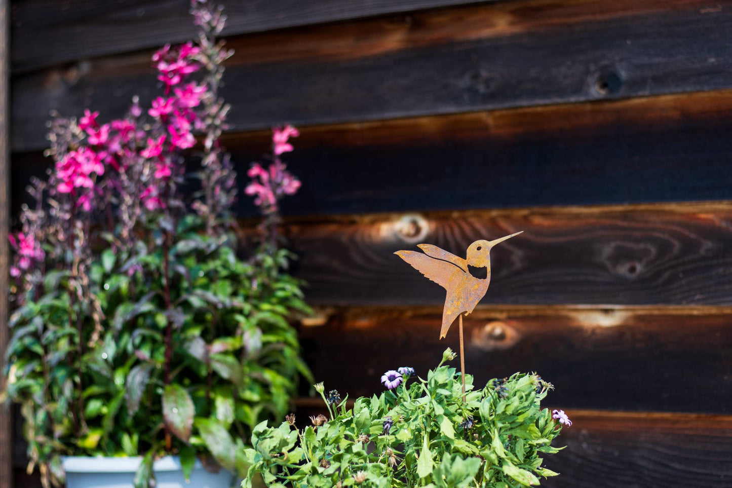 Elegant Garden Design - Hummingbird Pick