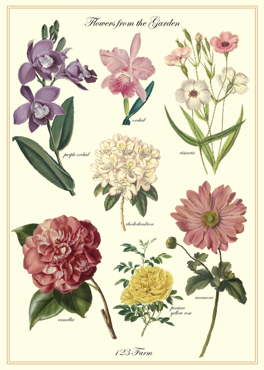 123 Farm - Vintage Posters Wrapping Paper - Flowers from the Garden