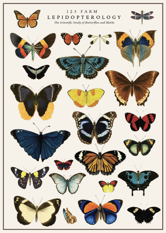 123 Farm - Vintage Posters Wrapping Paper - Lepidopterology