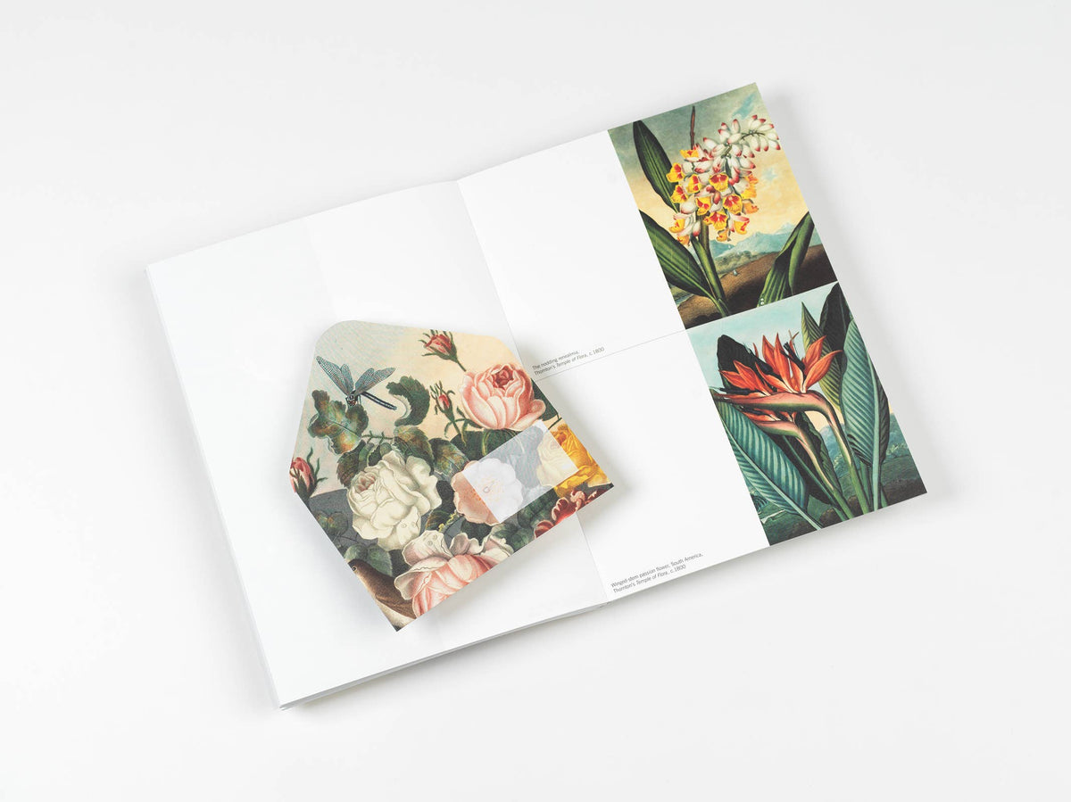 Pepin Press - Flowers Creative Paper Book
