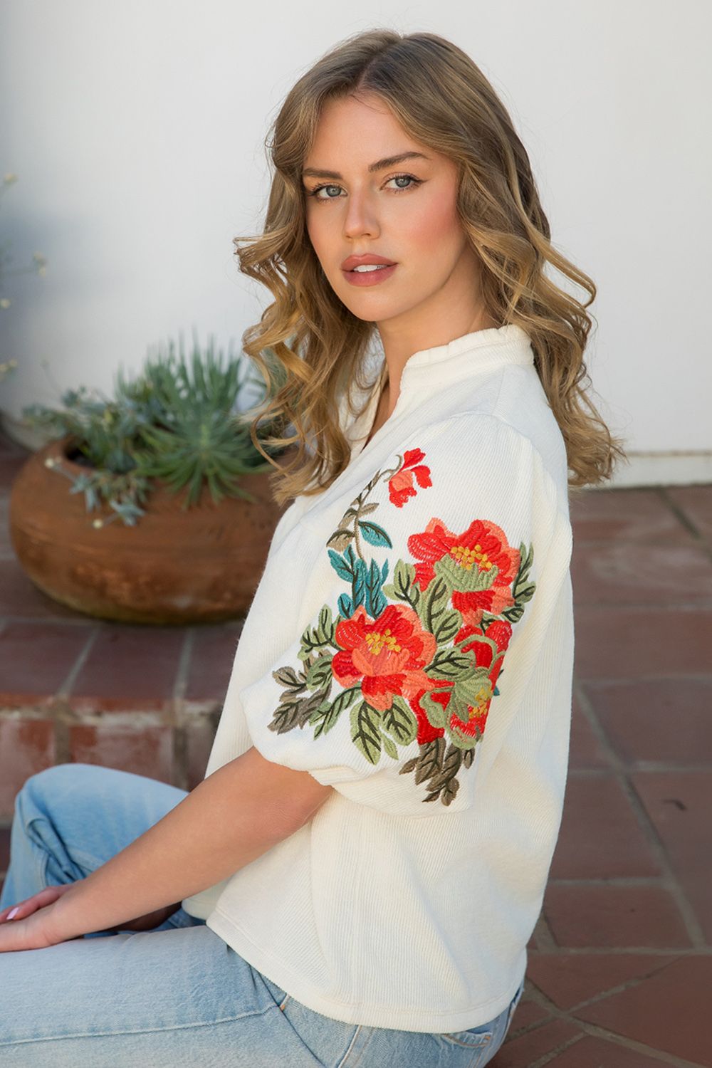 Embroidered Sleeve top THML