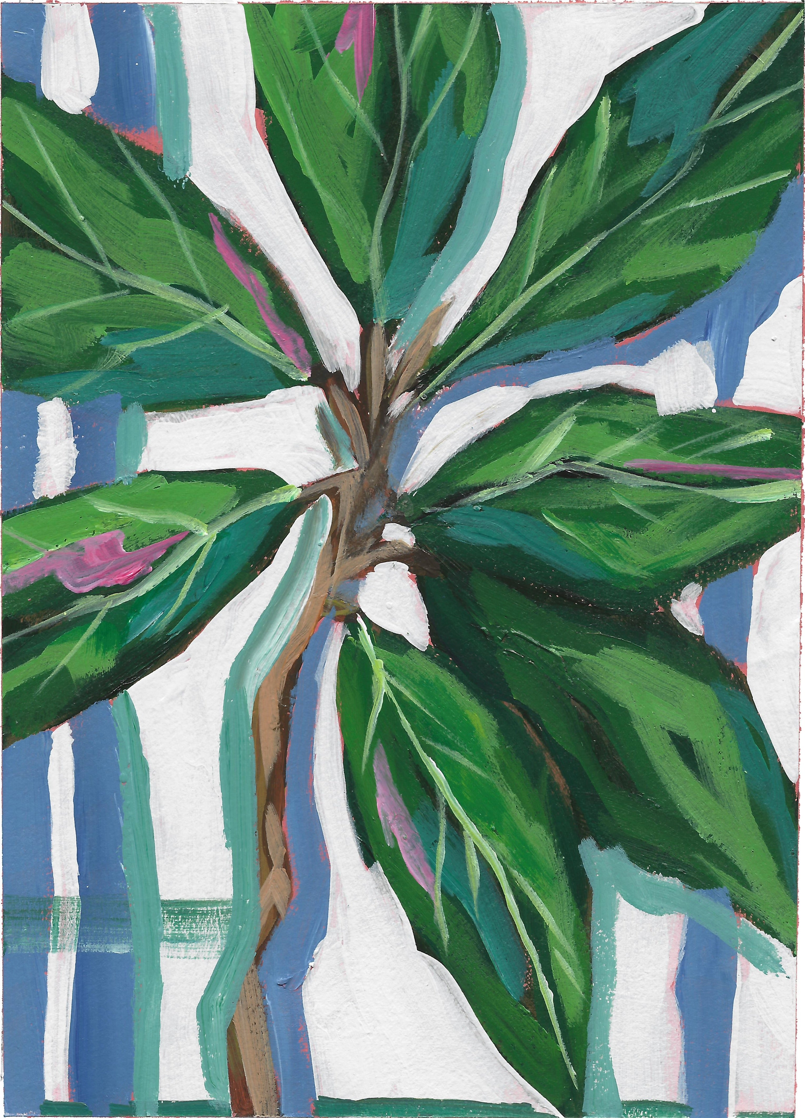 Magnolia Leaves 5x7