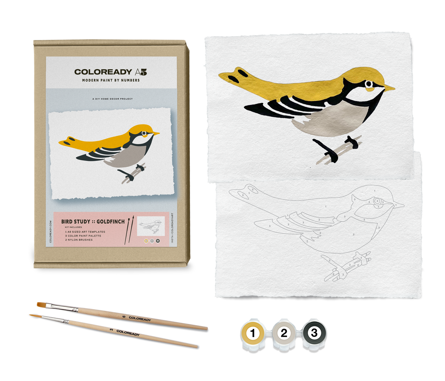 BIRD STUDY : GOLDFINCH - PAINT BY NUMBER