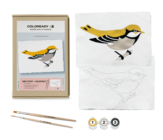 BIRD STUDY : GOLDFINCH - PAINT BY NUMBER