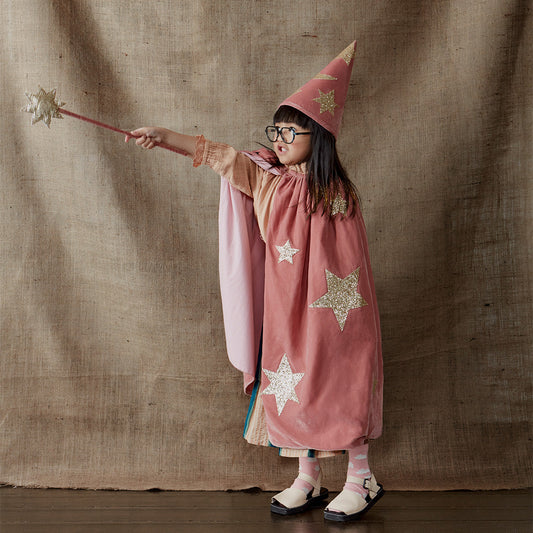 Pink Velvet Wizard/Princess Costume