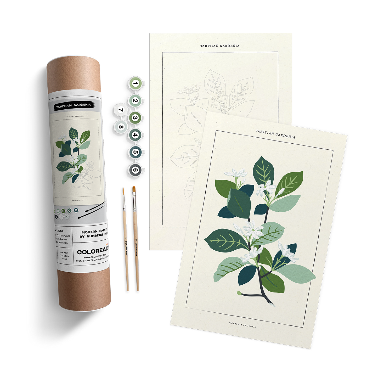 TAHITIAN GARDENIA BOTANICAL KIT PAINT BY NUMBER