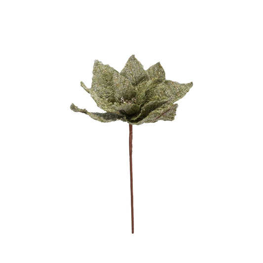 Green Poinsettia Stem