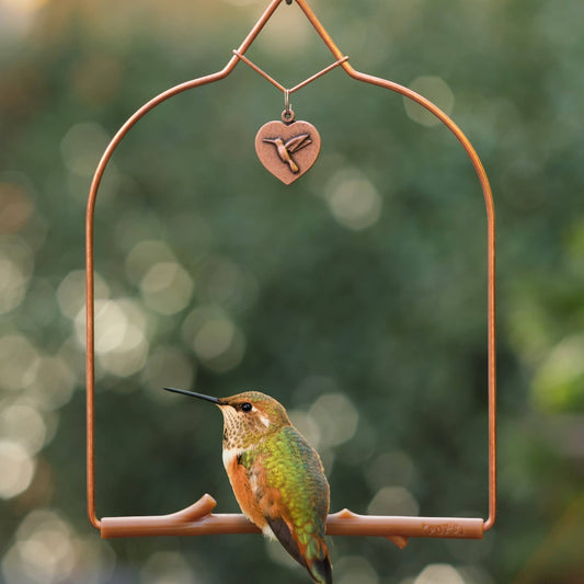 Copper Hummingbird Swing