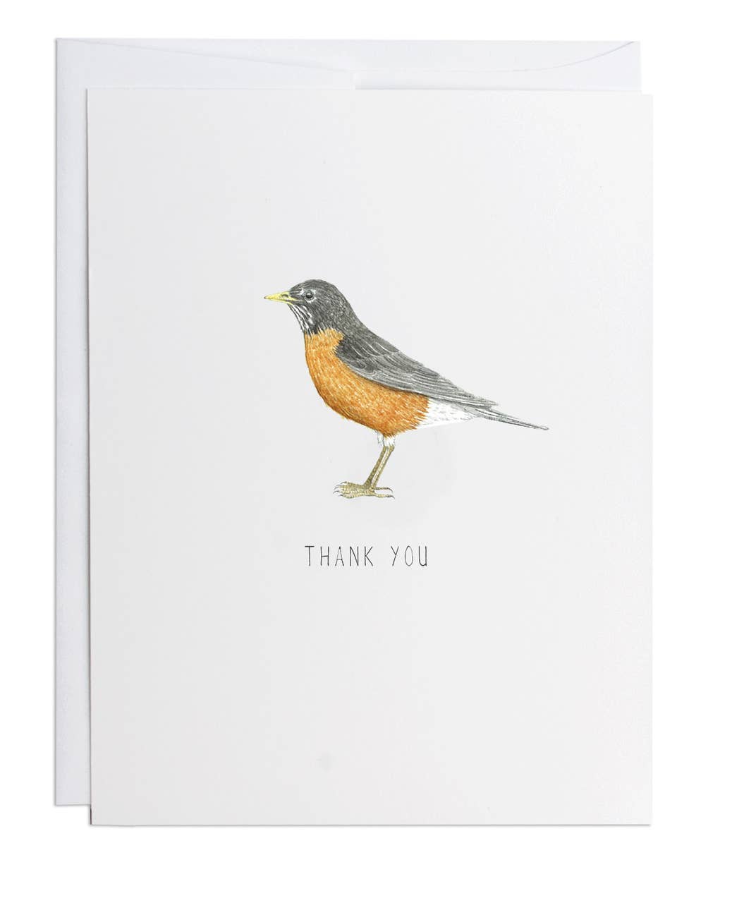 Greeting Card Expressions | Thank You Robin : 4.25" x 5.5"