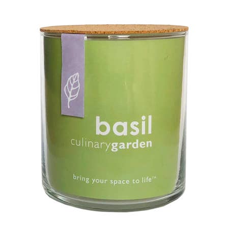 Potting Shed Creations, Ltd. - Essential | Basil Culinary Essential