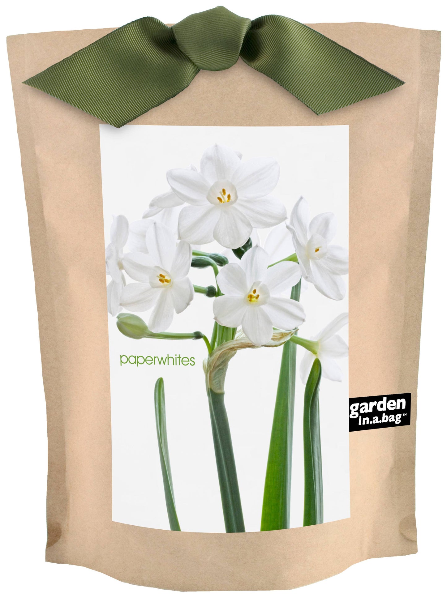 Potting Shed Creations, Ltd. - Garden in a Bag | Christmas Paperwhites