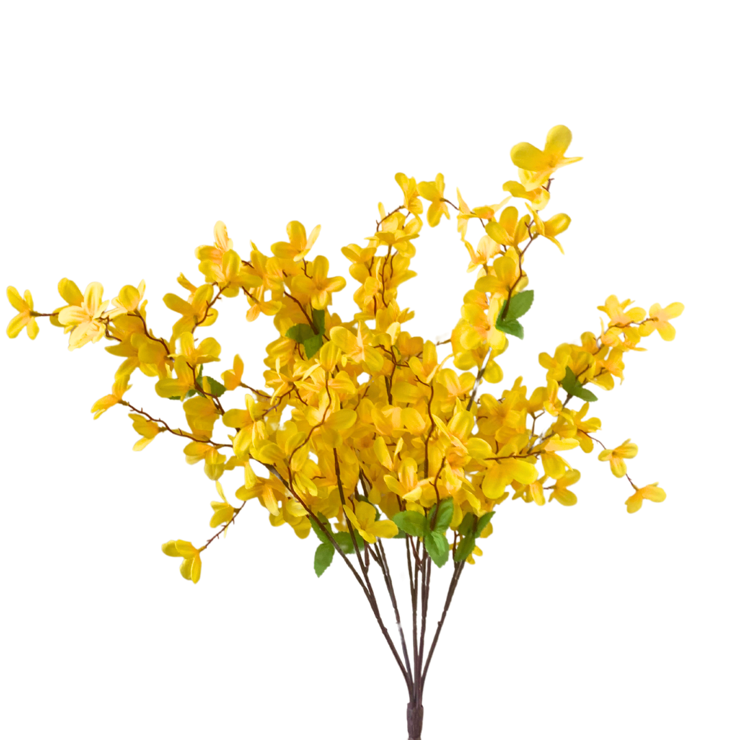 David Christopher's Collection - Tweedia Bush x 5 - 24” - Yellow