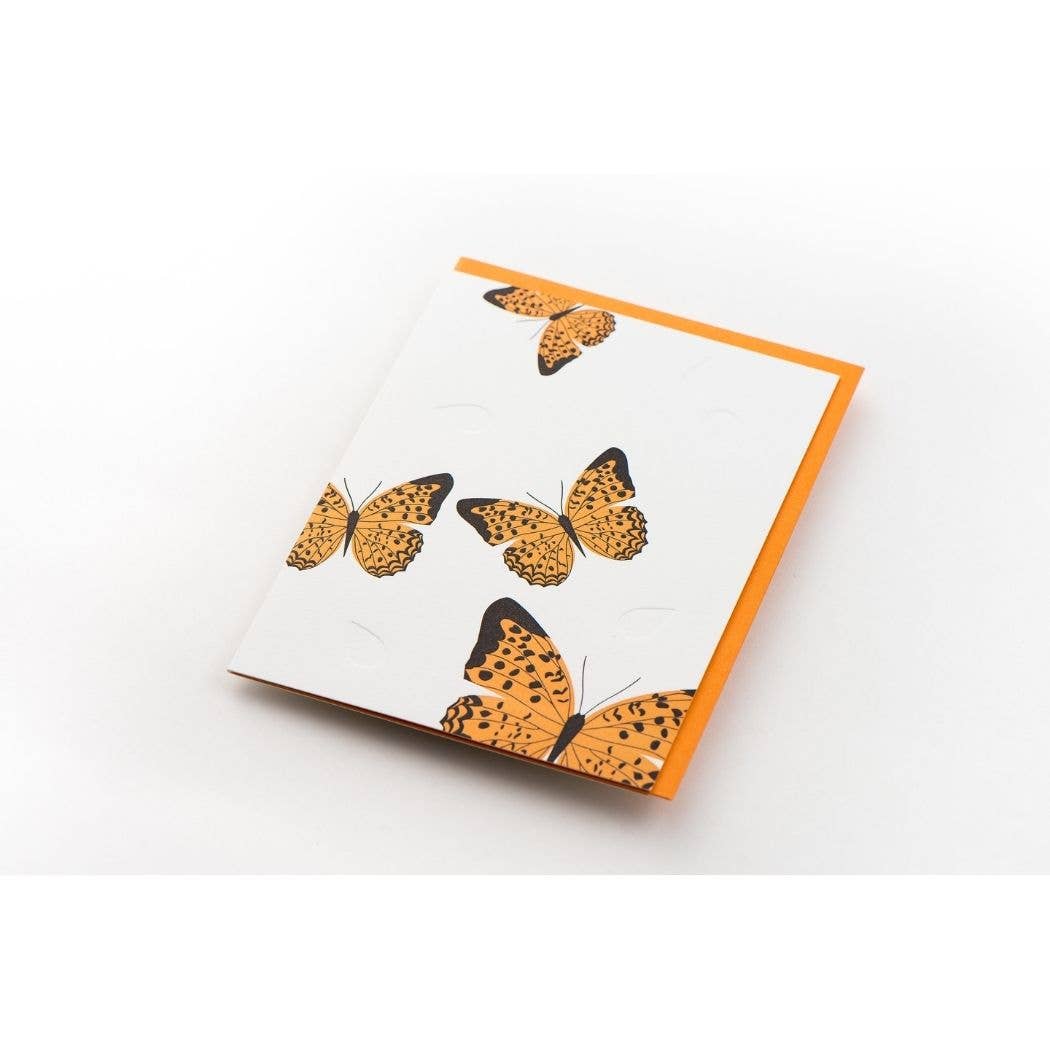 Butterfly Modern Card: Box Set of 6 Cards