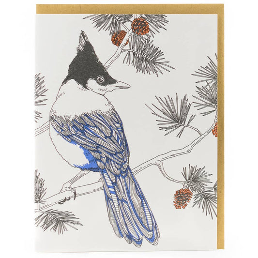 Nature Bird Series_Steller's Jay: Single Card