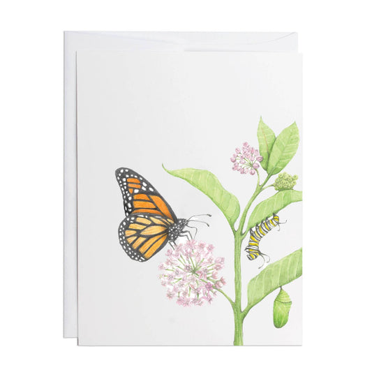 Potting Shed Creations, Ltd. - Greeting Card Expressions | Monarch: 4.25" x 5.5"