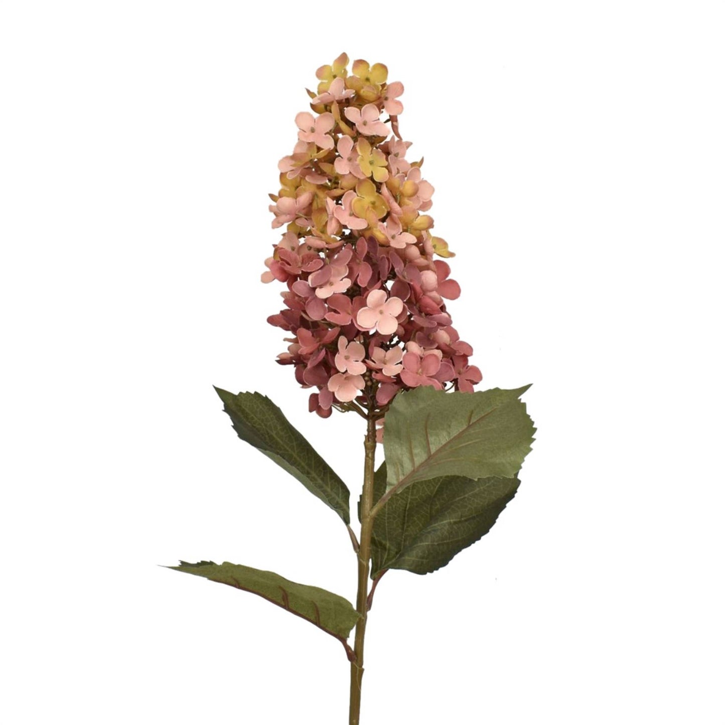 David Christopher's Collection - 38” Panicle Single bloom Hydrangea Stem - Sunset