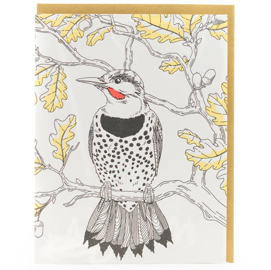 Northern Flicker Card - West Coast Birds: Single Card