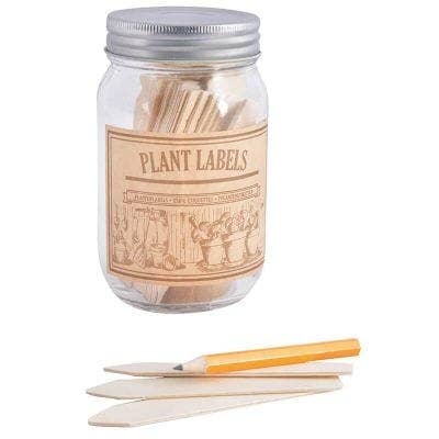 Wooden Plant Labels in Jar, Glass, Clear