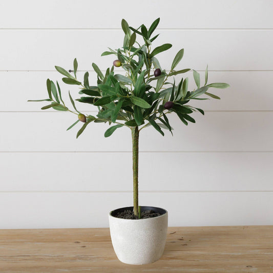 Faux Potted Olive Tree (PC)