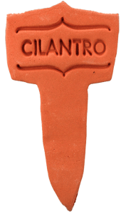 Amaranth Stoneware - Cilantro - Plant Label