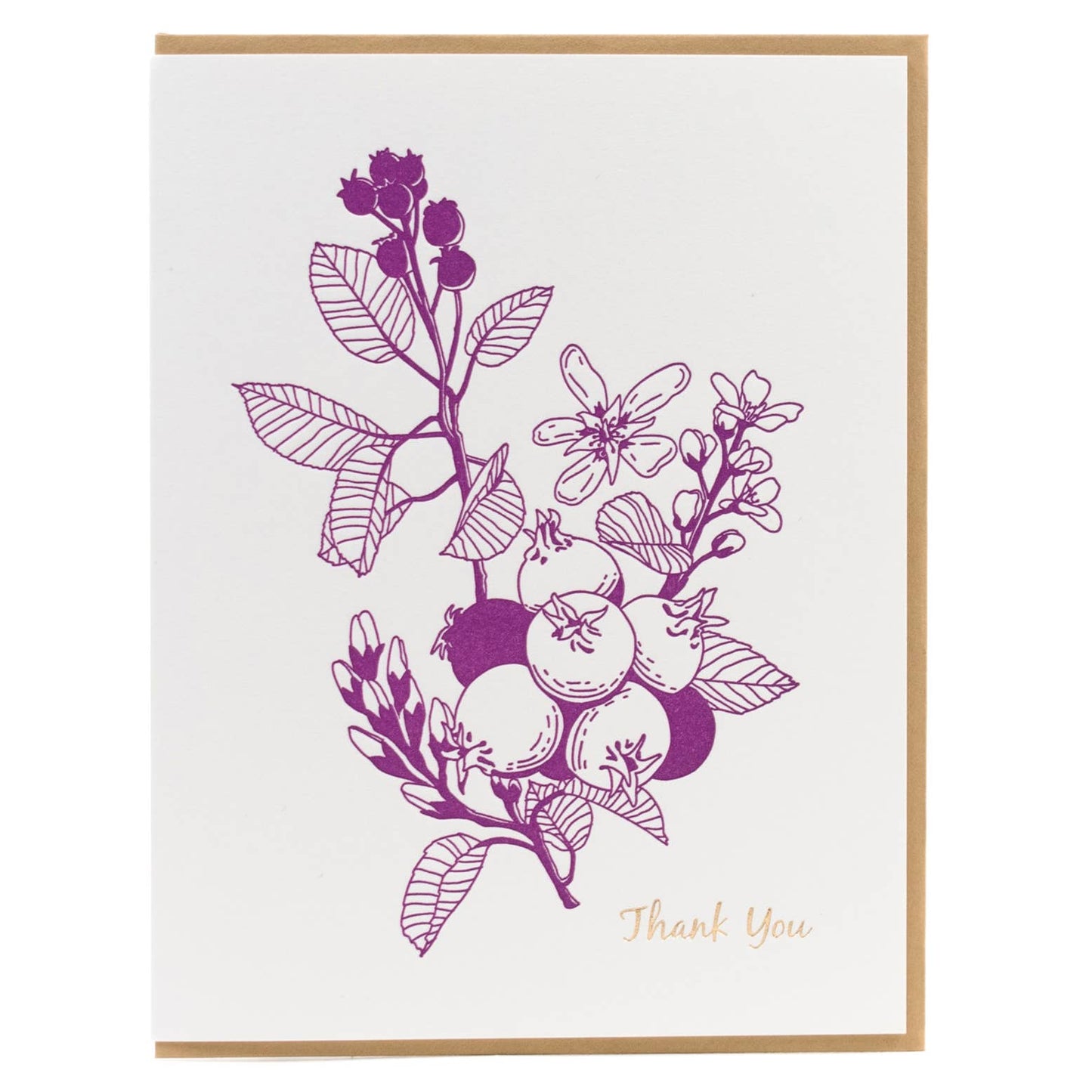 Thank you Forest Foraging Series - Saskatoon Berry: SIngle Card