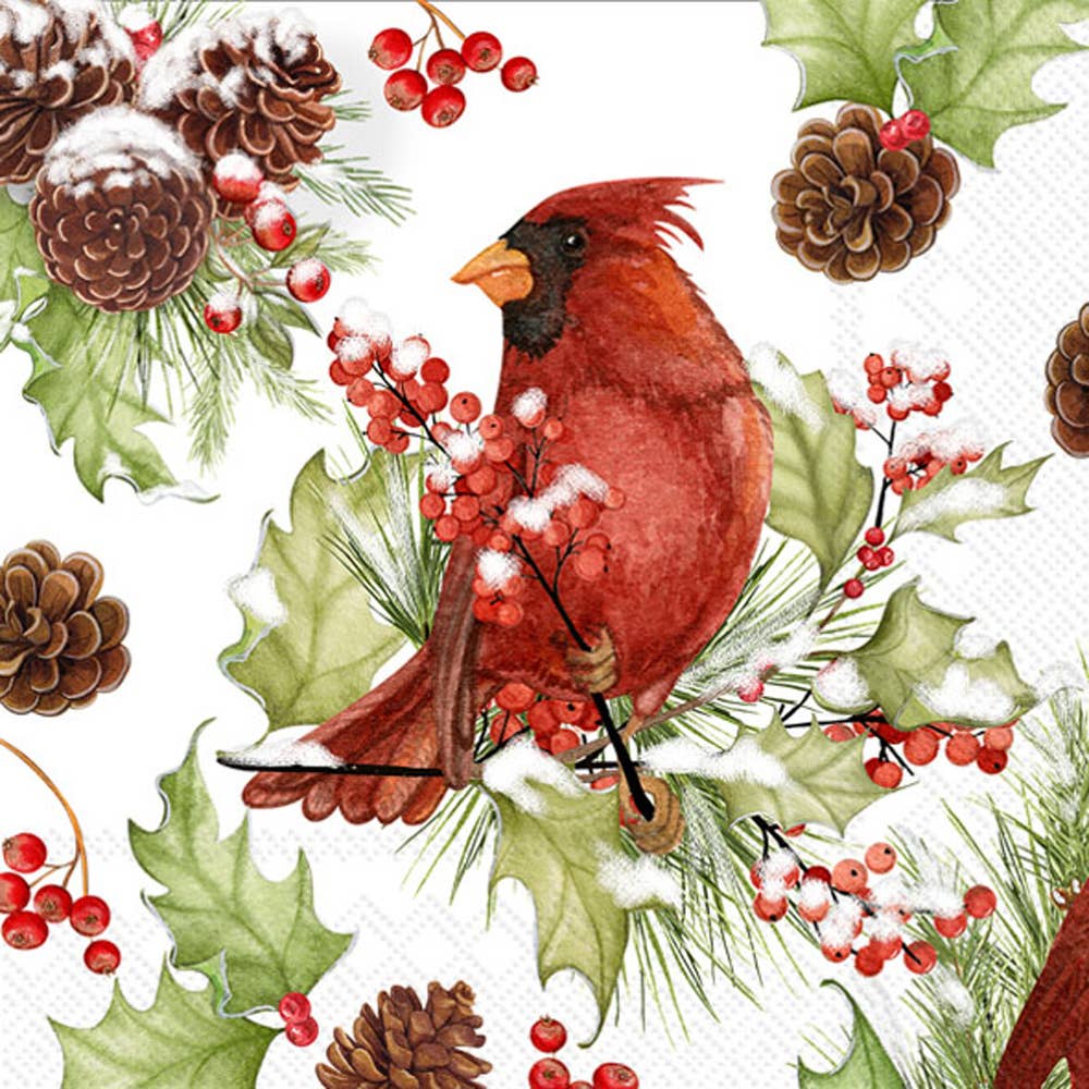 Paper Cocktail Napkins 20 ct Cardinals In Holly Christmas