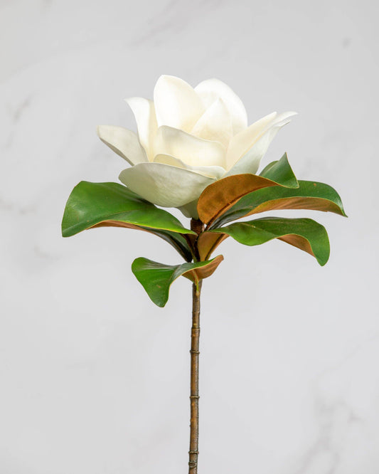 White Magnolia 29"