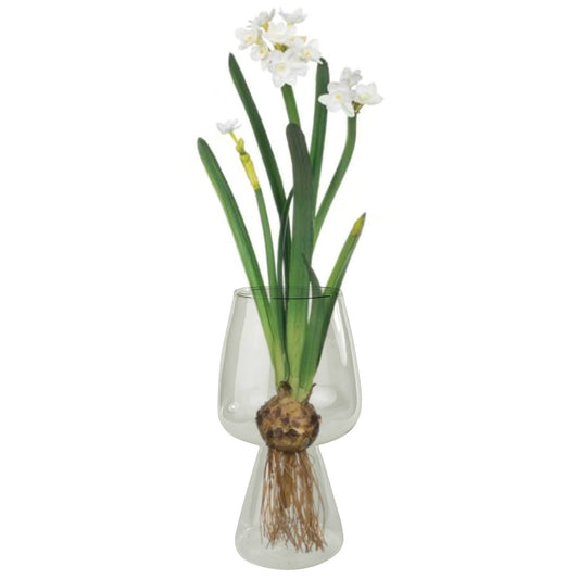 Clear Bulb Vase