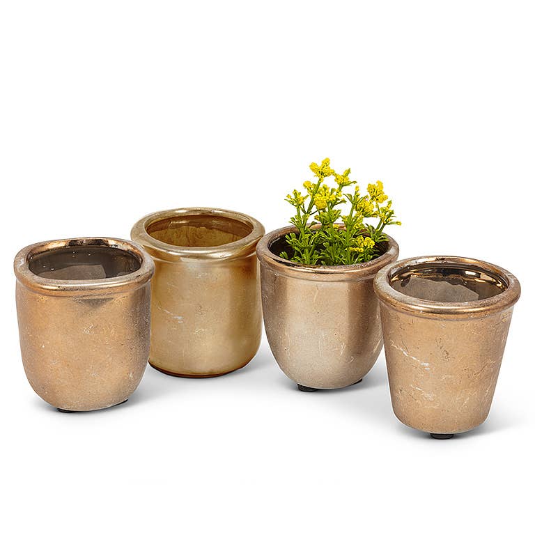 Succulent Gold Planter-4Asst-3"H