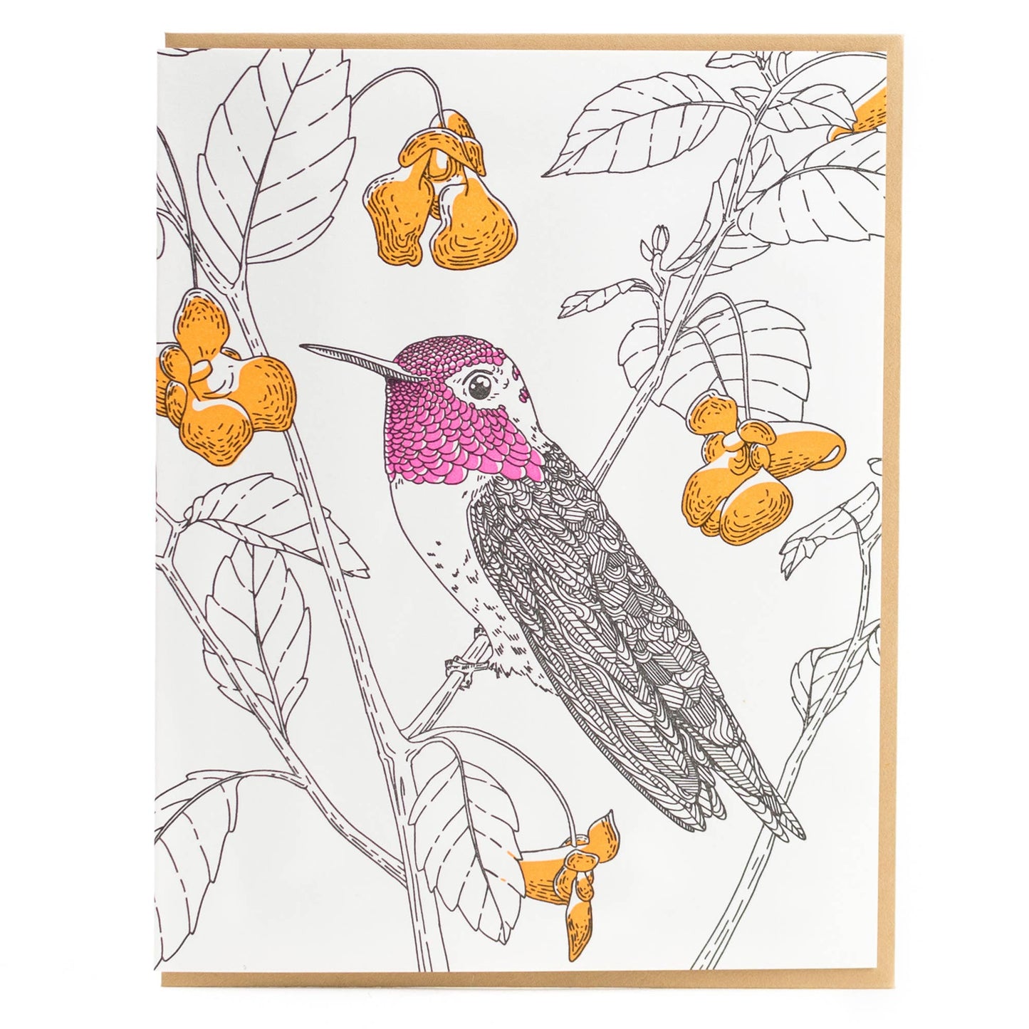 Anna's Hummingbird Card - West Coast Birds: Box Set of 6 Cards