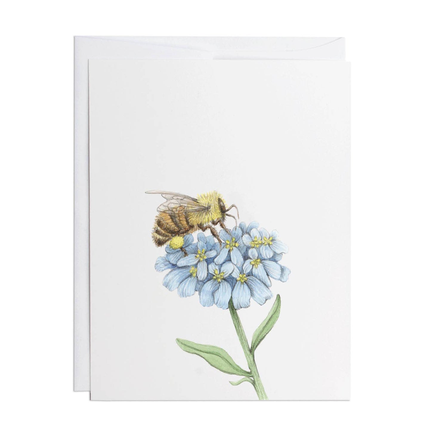 Greeting Card Expressions | Honeybee: 4.25" x 5.5"