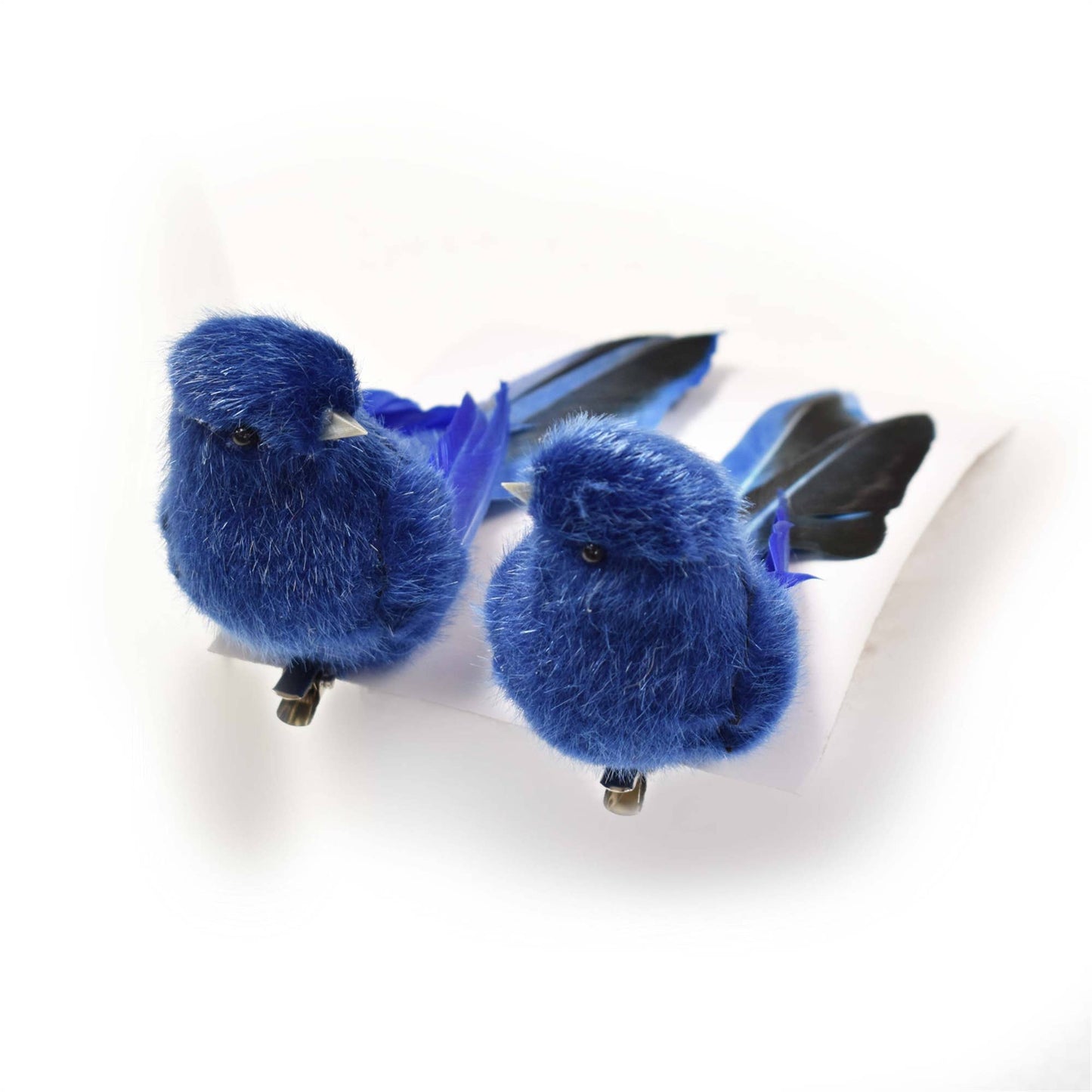 David Christopher's Collection - Adorable Feathered Bird With Clip Assortment of 2 - Blue Bla