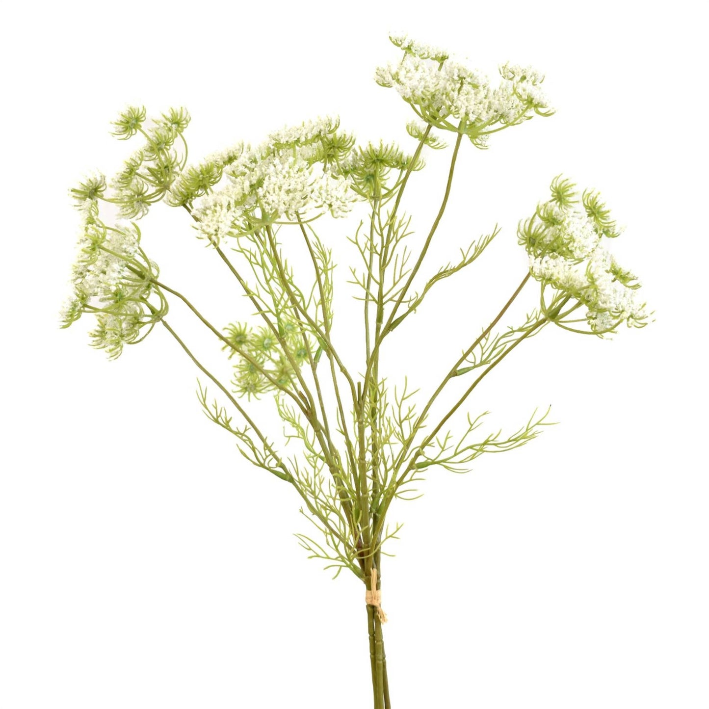 David Christopher's Collection - 24” Queen Anne's Lace Bundle x 3 - White